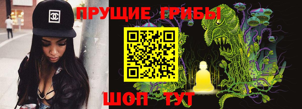 Галлюциногенные грибы Psilocybine cubensis  Вход с VPN  Майкоп 