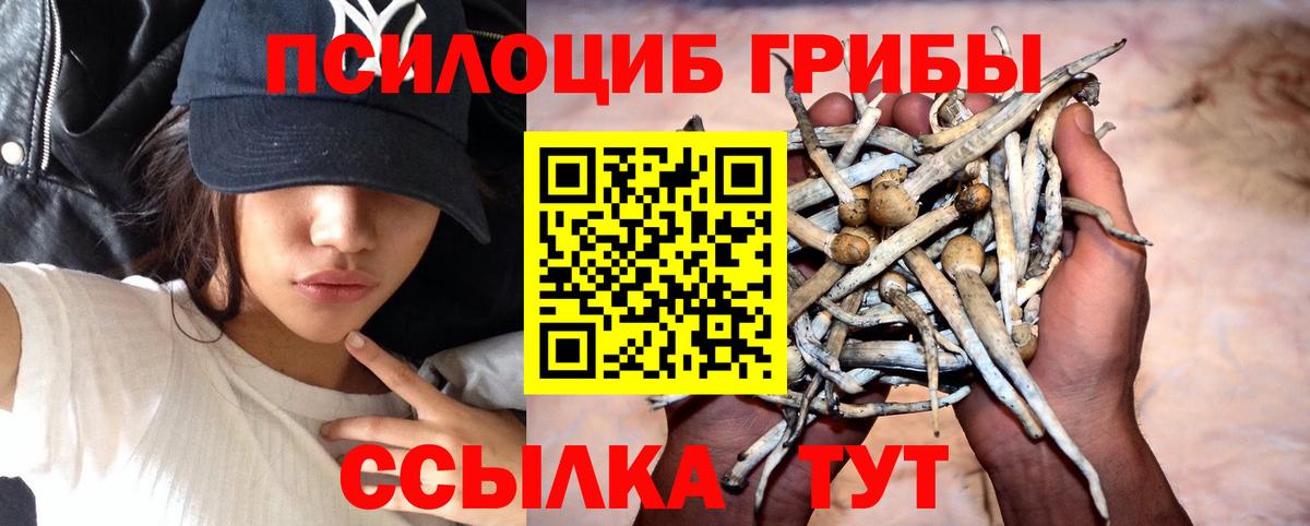 Псилоцибиновые грибы мухоморы Майкоп